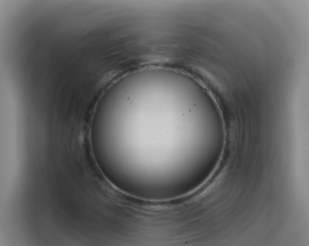 X0000114131257200910081237