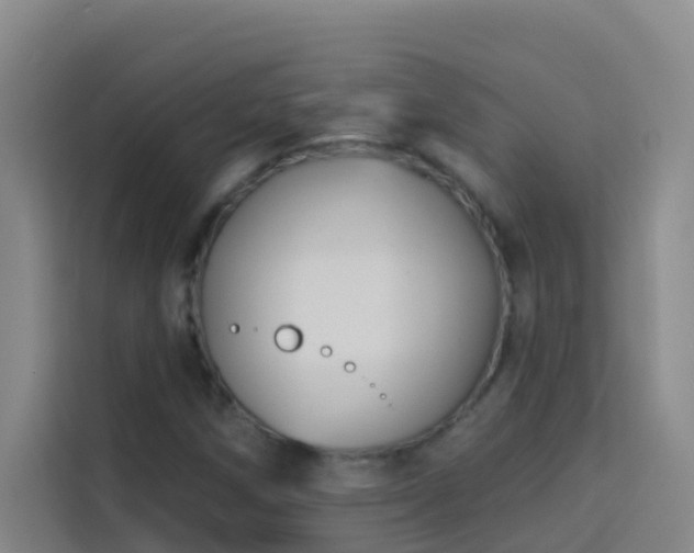 X0000114131258200910081237