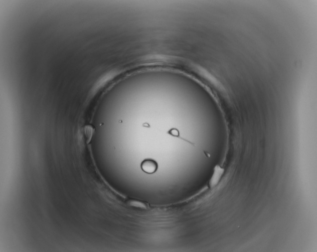 X0000114131259200910081237