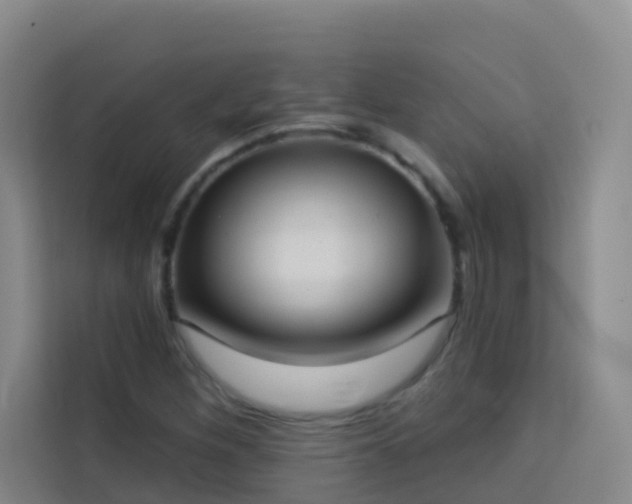 X0000114131260200910081237