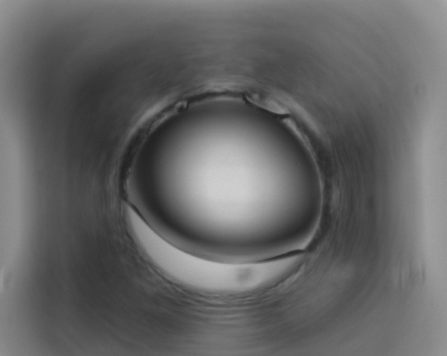 X0000114131261200910081237