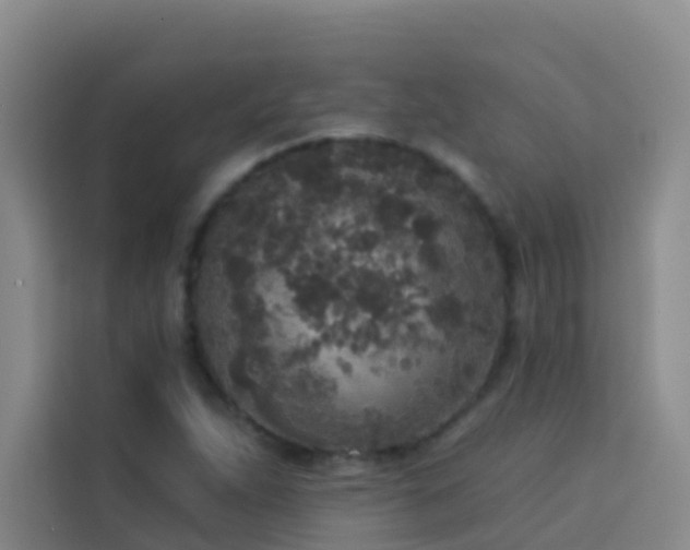 X0000114131263200910081237