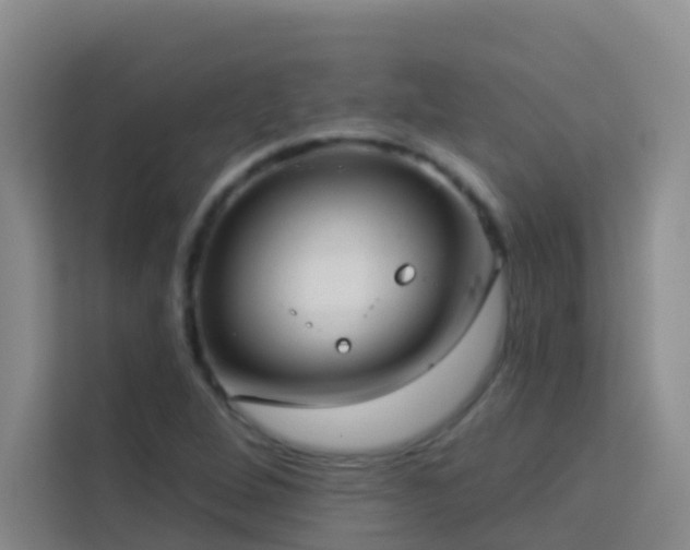 X0000114131264200910081237