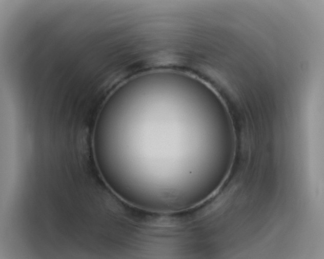 X0000114131265200910081237
