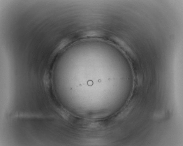 X0000114131266200910081237