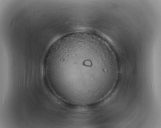 X0000114131267200910081237
