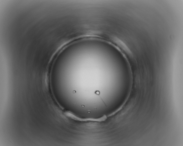X0000114131268200910081237
