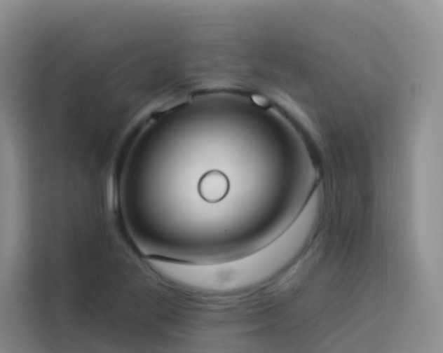 X0000114131269200910081237