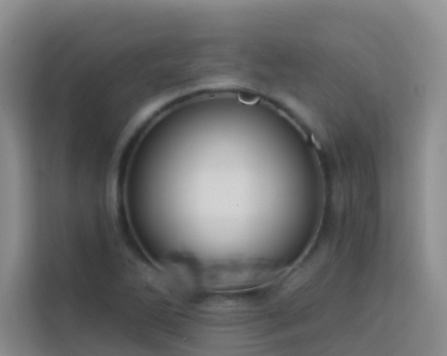 X0000114131270200910081237