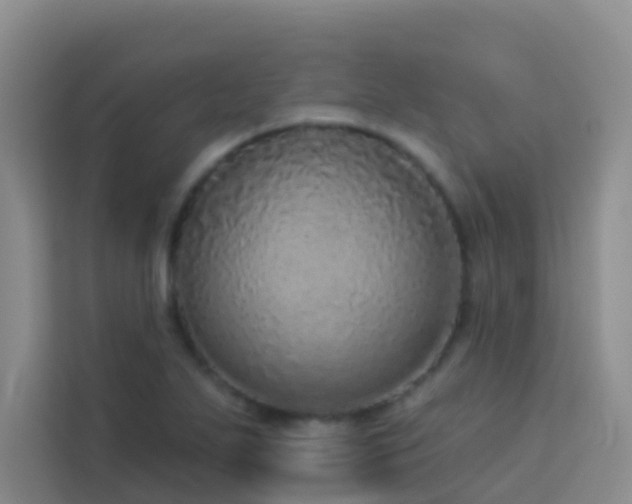 X0000114131271200910081237