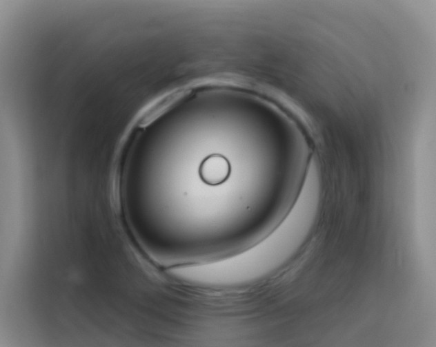 X0000114131272200910081237