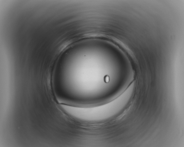 X0000114131273200910081237