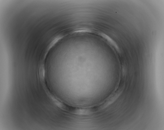 X0000114131274200910081237
