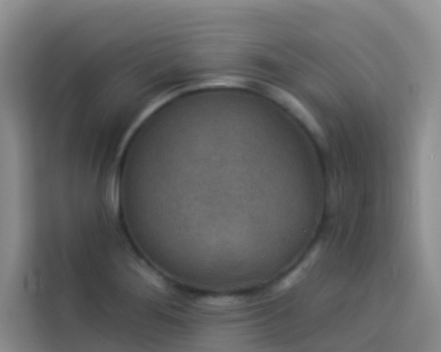 X0000114131276200910081237