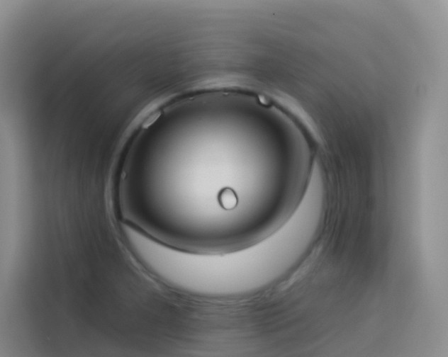 X0000114131277200910081237