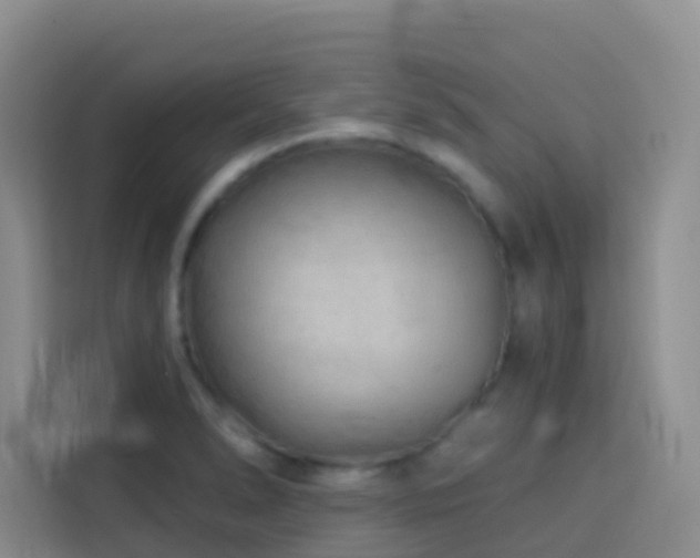 X0000114131278200910081237