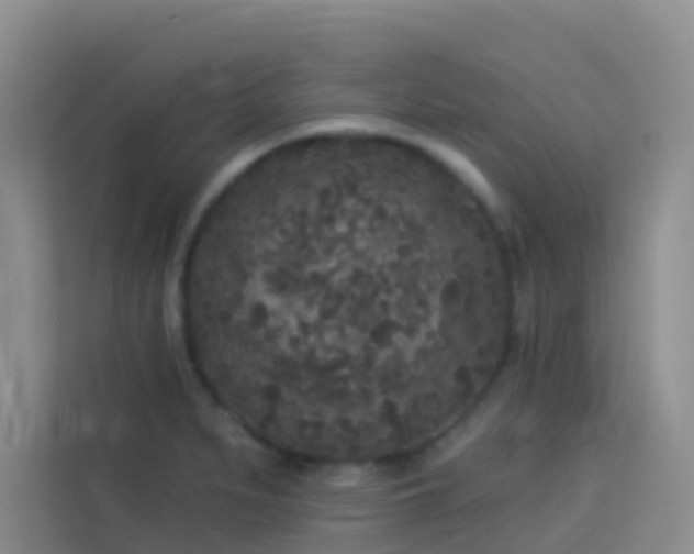 X0000114131279200910081237