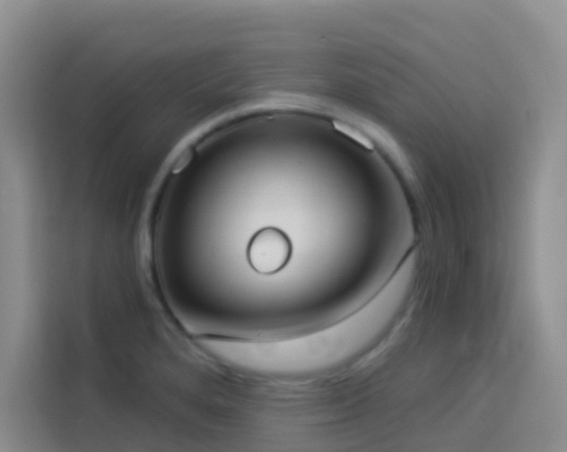 X0000114131280200910081237