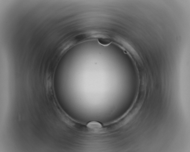X0000114131281200910081237