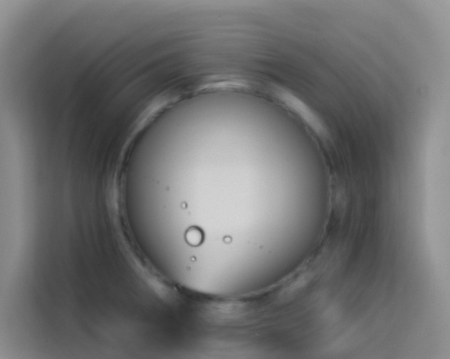 X0000114131282200910081237