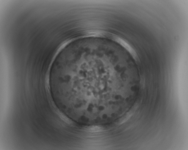X0000114131283200910081237