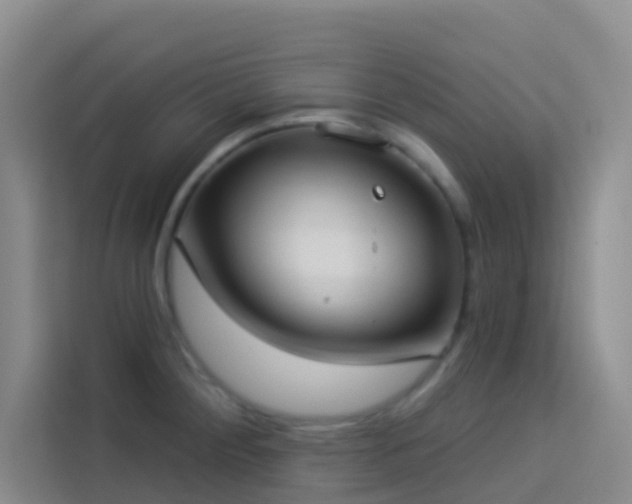 X0000114131284200910081237