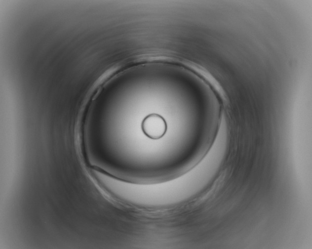 X0000114131285200910081237