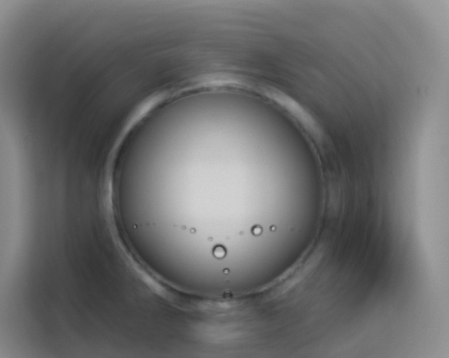 X0000114131286200910081237