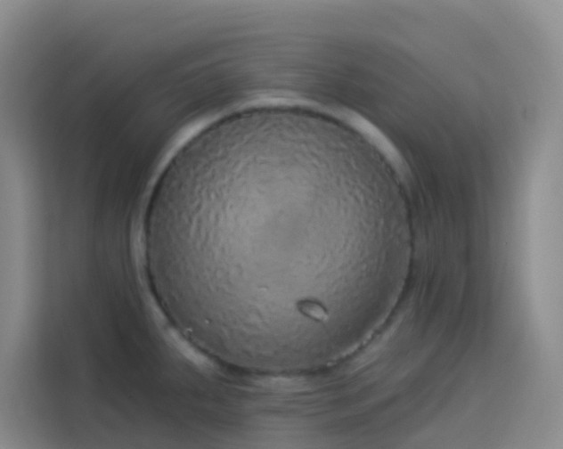 X0000114131287200910081237