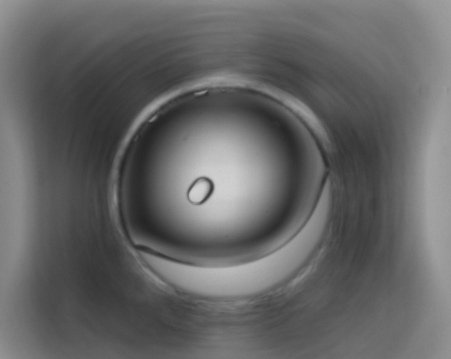 X0000114131288200910081237
