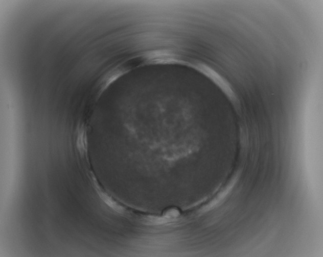 X0000114131289200910081237