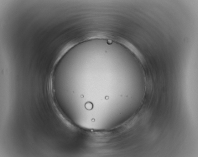 X0000114131290200910081237