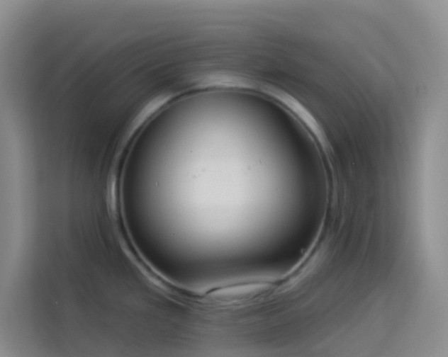 X0000114131293200910081236