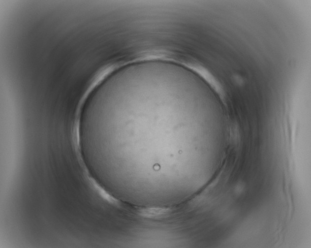 X0000114131294200910081236