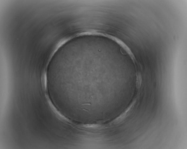 X0000114131295200910081236