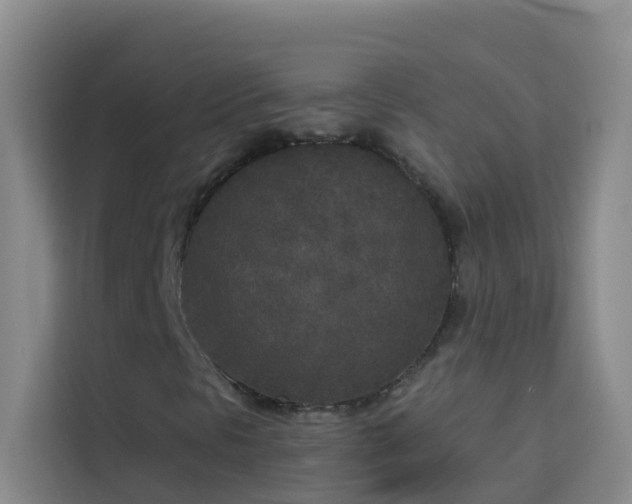 X0000114131297200910081236