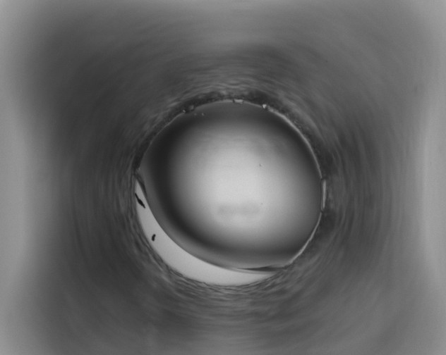 X0000114131298200910081236