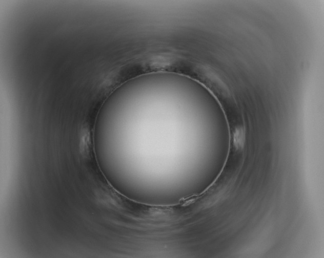 X0000114131299200910081236