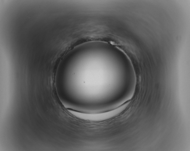X0000114131300200910081236