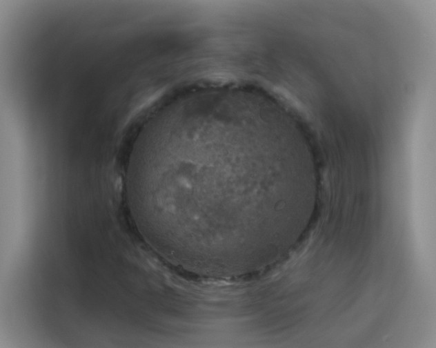 X0000114131302200910081236