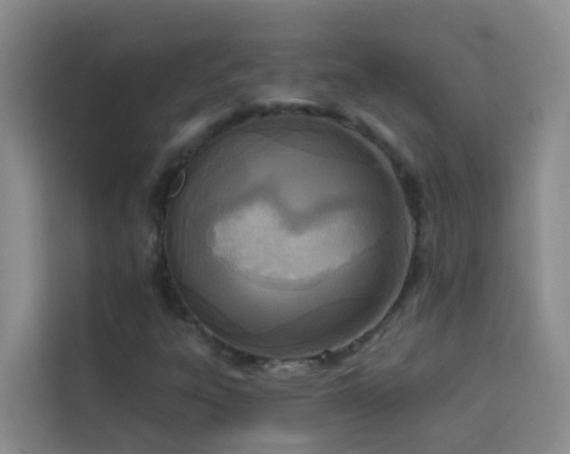 X0000114131303200910081236