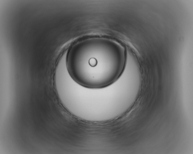 X0000114131304200910081236