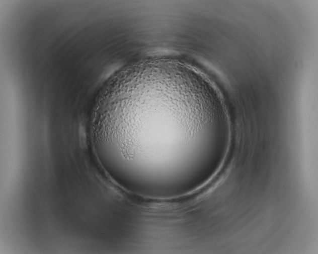 X0000114131305200910081236