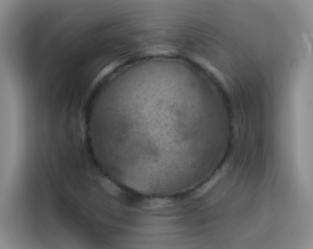 X0000114131306200910081236
