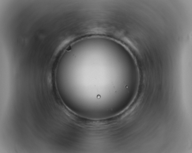 X0000114131307200910081236