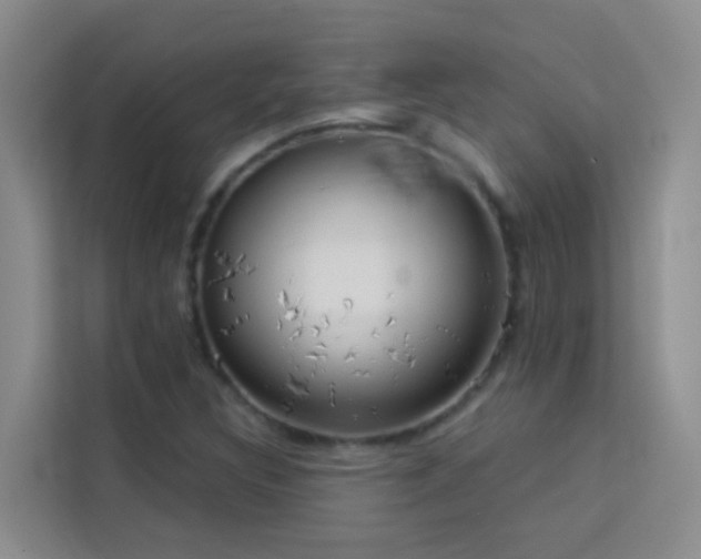 X0000114131308200910081236