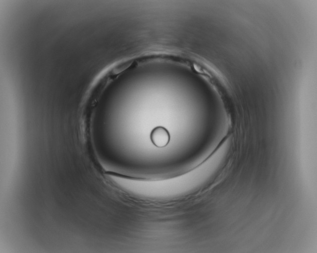 X0000114131310200910081236