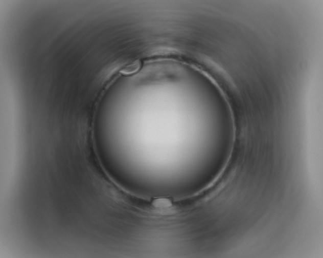 X0000114131313200910081236
