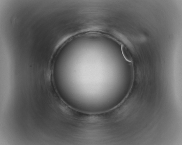 X0000114131316200910081236