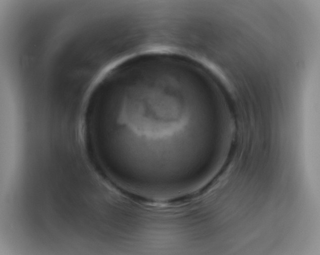 X0000114131319200910081236